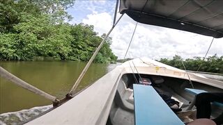 Короткая topwater-сессия по mangrove jack Bentota Sri Lanka утренний кастинг по корягам