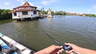 Короткая topwater-сессия по mangrove jack Bentota Sri Lanka утренний кастинг по корягам