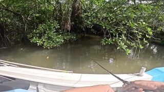 Короткая topwater-сессия по mangrove jack Bentota Sri Lanka утренний кастинг по корягам