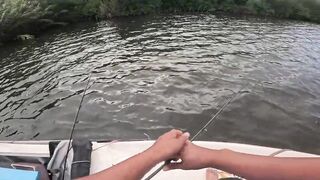 Короткая topwater-сессия по mangrove jack Bentota Sri Lanka утренний кастинг по корягам