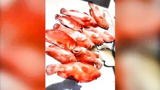 Malubanna Bentota deep sea морская рыбалка и джиг в Индийском океане у Шри-Ланки