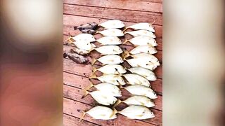 Malubanna Bentota deep sea морская рыбалка и джиг в Индийском океане у Шри-Ланки