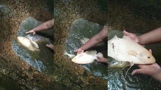 Необычный способ ловить рыбу традиционная техника рыбаков Sri Lanka у океана