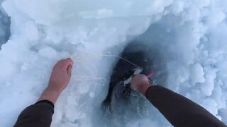 Крабы ловятся по два сразу: морская добыча на мелководье и в камнях