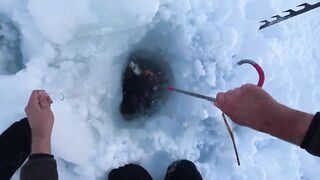 Крабы ловятся по два сразу: морская добыча на мелководье и в камнях