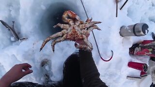 Крабы ловятся по два сразу: морская добыча на мелководье и в камнях