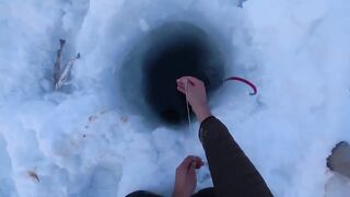 Крабы ловятся по два сразу: морская добыча на мелководье и в камнях