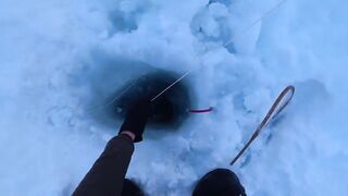 Крабы ловятся по два сразу: морская добыча на мелководье и в камнях