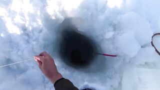 Крабы ловятся по два сразу: морская добыча на мелководье и в камнях