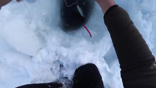 Крабы ловятся по два сразу: морская добыча на мелководье и в камнях