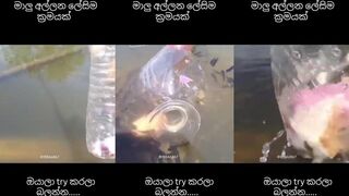 Смертельный способ ловить рыбу на океанском прибое осторожно повторять не стоит