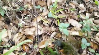 Деревенская рыбацкая жизнь лодки сети и ежедневная рыбалка на рассвете в маленьком посёлке