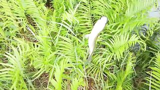 Деревенская рыбацкая жизнь лодки сети и ежедневная рыбалка на рассвете в маленьком посёлке