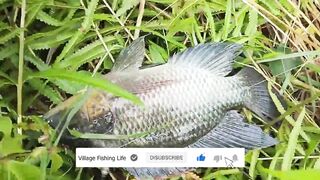 Деревенская рыбацкая жизнь лодки сети и ежедневная рыбалка на рассвете в маленьком посёлке