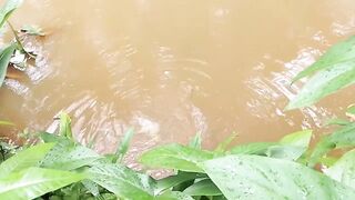 Деревенская рыбацкая жизнь лодки сети и ежедневная рыбалка на рассвете в маленьком посёлке