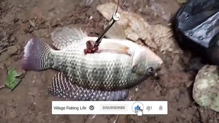 Деревенская рыбацкая жизнь лодки сети и ежедневная рыбалка на рассвете в маленьком посёлке