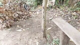 Деревенская рыбацкая жизнь лодки сети и ежедневная рыбалка на рассвете в маленьком посёлке