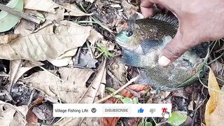 Деревенская рыбацкая жизнь лодки сети и ежедневная рыбалка на рассвете в маленьком посёлке