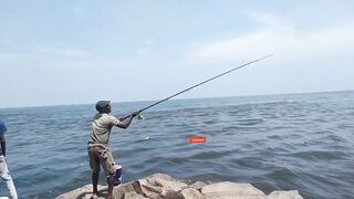 Island Hook Fishing Video улов креветки и рыбы у берега Веллаватте на шумной улице Шри Ланки