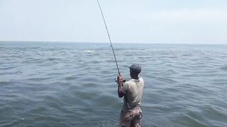 Island Hook Fishing Video улов креветки и рыбы у берега Веллаватте на шумной улице Шри Ланки