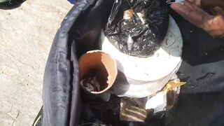 Island Hook Fishing Video улов креветки и рыбы у берега Веллаватте на шумной улице Шри Ланки