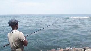 Island Hook Fishing Video улов креветки и рыбы у берега Веллаватте на шумной улице Шри Ланки