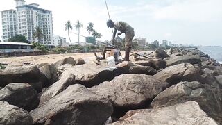 Island Hook Fishing Video улов креветки и рыбы у берега Веллаватте на шумной улице Шри Ланки
