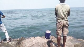 Island Hook Fishing Video улов креветки и рыбы у берега Веллаватте на шумной улице Шри Ланки