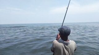 Island Hook Fishing Video улов креветки и рыбы у берега Веллаватте на шумной улице Шри Ланки