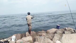Island Hook Fishing Video улов креветки и рыбы у берега Веллаватте на шумной улице Шри Ланки