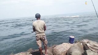 Island Hook Fishing Video улов креветки и рыбы у берега Веллаватте на шумной улице Шри Ланки