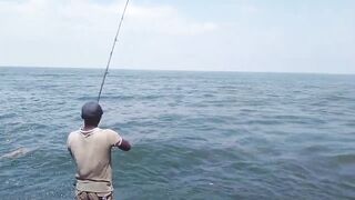 Island Hook Fishing Video улов креветки и рыбы у берега Веллаватте на шумной улице Шри Ланки