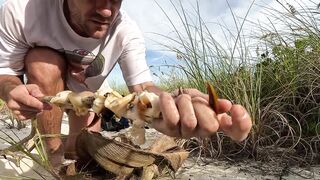 Ловля больших крабов руками в поисках необитаемого острова среди лагун и рифов