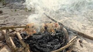 Ловля больших крабов руками в поисках необитаемого острова среди лагун и рифов