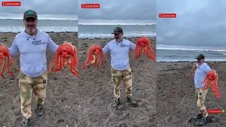 Сахалинские крабы и океанский берег где искать лучший улов в этих местах