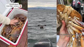 Так ловят крабов в Америке хватит ли вам такого морского улова