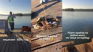 Ловля крабов в Ванкувере с пирса и каяка сколько можно набрать за один выезд