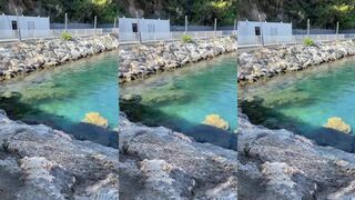 Красивые рыбы у берега Okurcalar Turkey снорклинг и мысли о местной рыбалке