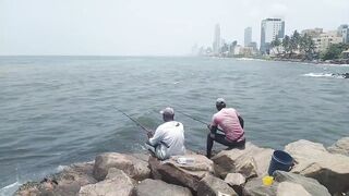 Wellawatta Beach Sri Lanka береговая рыбалка на крючок у шумного городского пляжа
