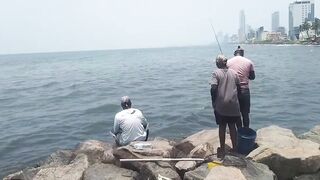 Wellawatta Beach Sri Lanka береговая рыбалка на крючок у шумного городского пляжа