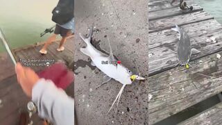 Топ 3 худших прибрежных трофея для тех кому важна морская рыбалка и вкус пойманной рыбы