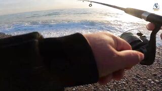 Yazılı orkinos у берега здесь утром и вечером тунец играет в прибрежных волнах