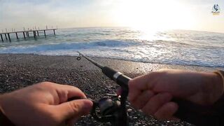 Yazılı orkinos у берега здесь утром и вечером тунец играет в прибрежных волнах