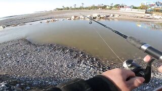 Yazılı orkinos у берега здесь утром и вечером тунец играет в прибрежных волнах