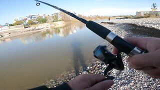 Yazılı orkinos у берега здесь утром и вечером тунец играет в прибрежных волнах