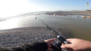 Yazılı orkinos у берега здесь утром и вечером тунец играет в прибрежных волнах