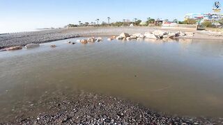 Yazılı orkinos у берега здесь утром и вечером тунец играет в прибрежных волнах