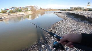 Yazılı orkinos у берега здесь утром и вечером тунец играет в прибрежных волнах