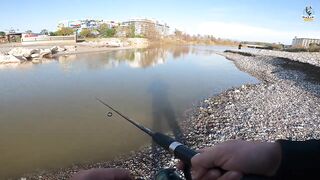 Yazılı orkinos у берега здесь утром и вечером тунец играет в прибрежных волнах