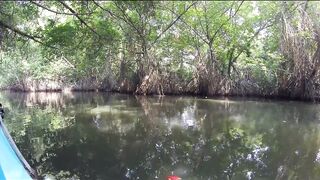 Рыбалка на Шри-Ланке 2020 первые выезды на океан и уловы у пляжа